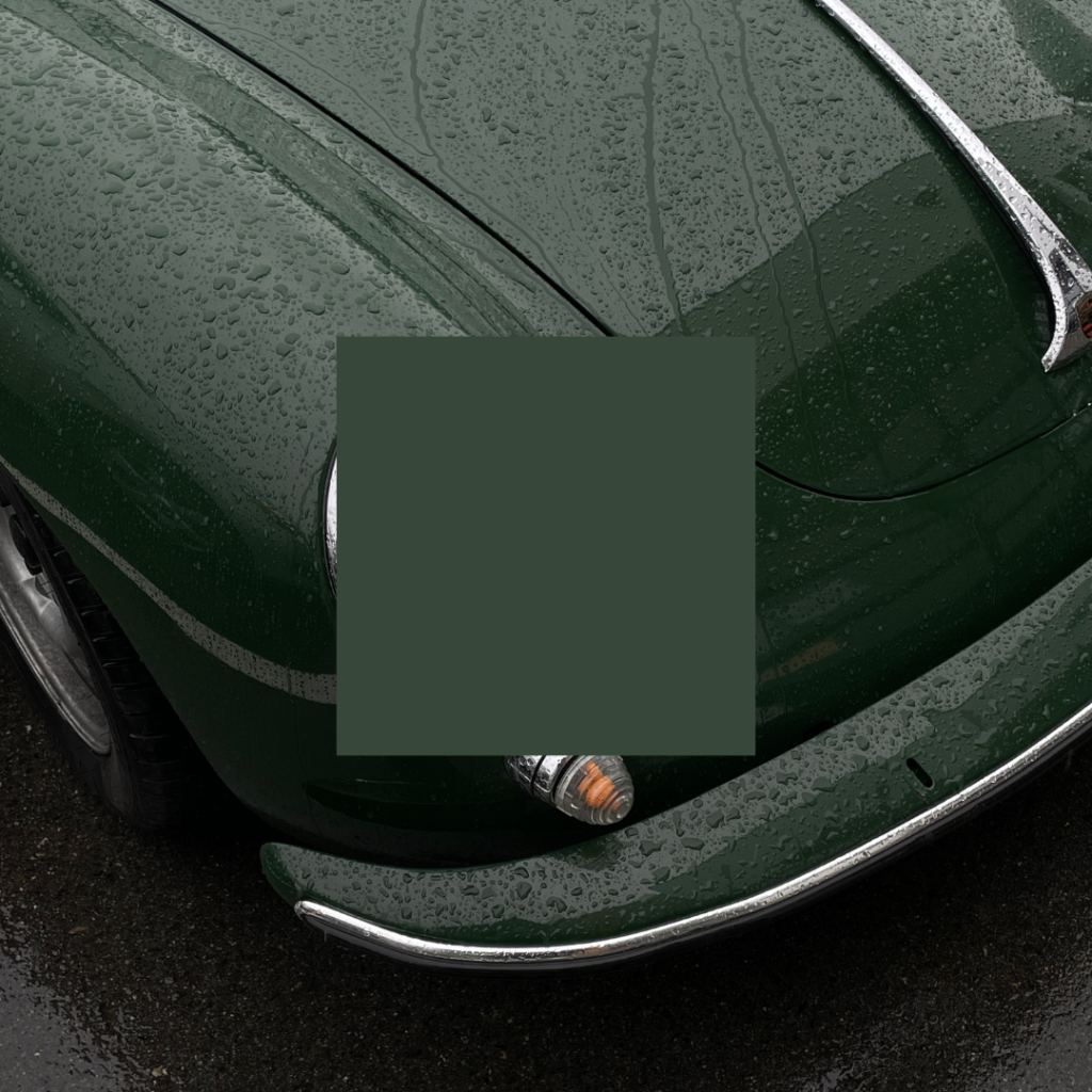 The color psychology of forest green