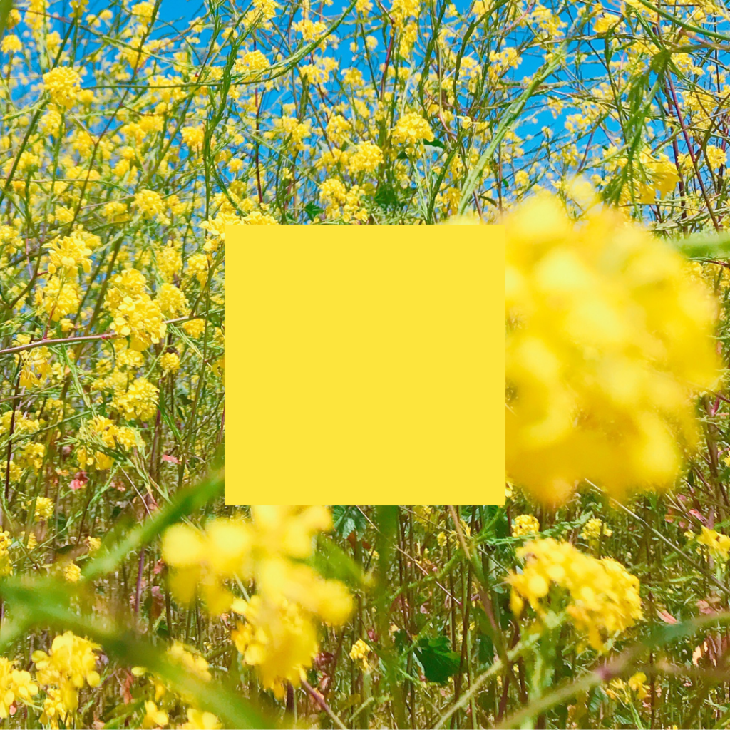 The bright yellow color psychology in branding