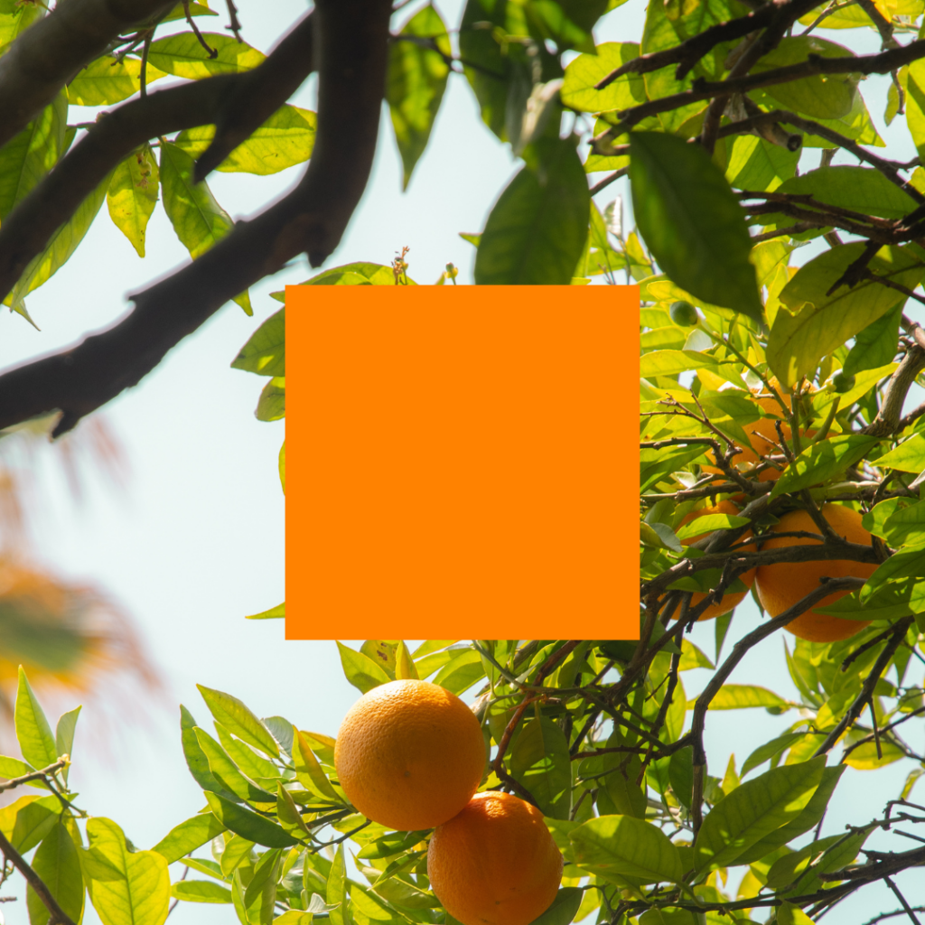 The color psychology of tangerine orange