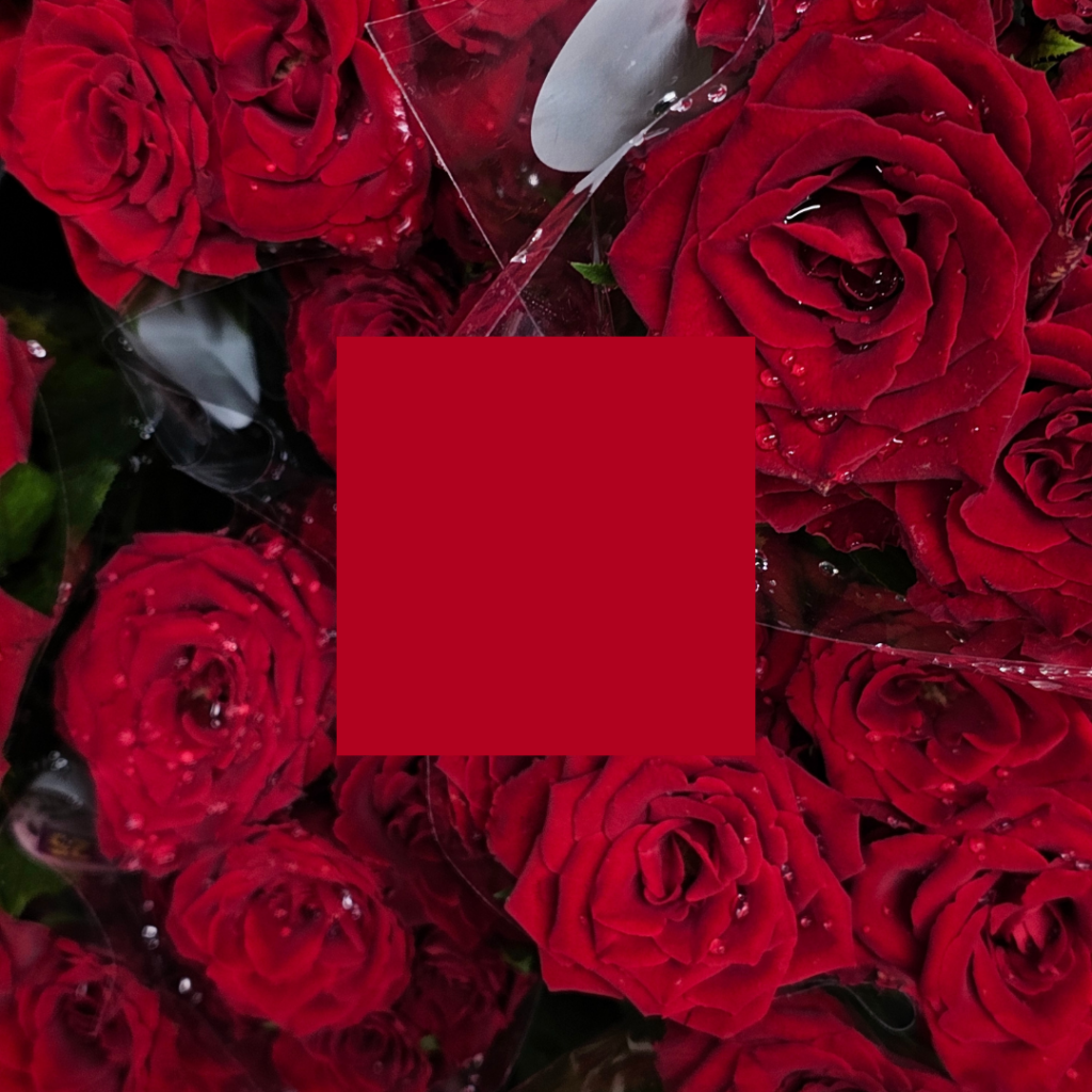 The color psychology of crimson red